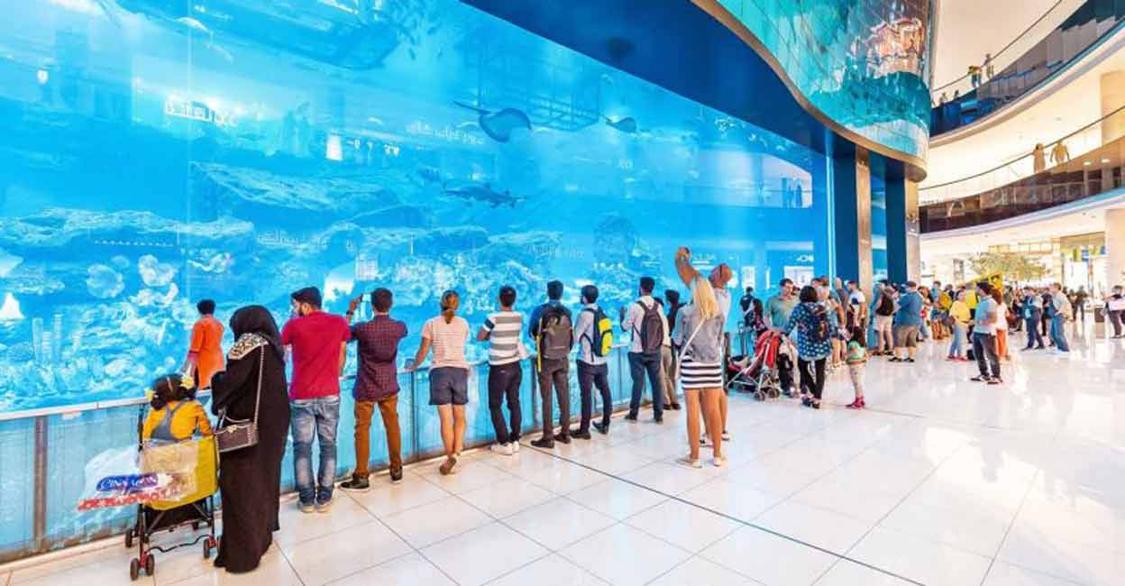 Dubai Aquarium And Under Water Zoo