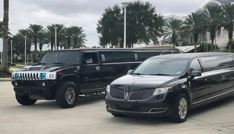 Limousine Ride