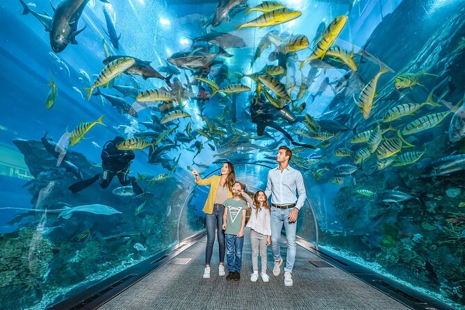 Dubai Aquarium And Under Water Zoo