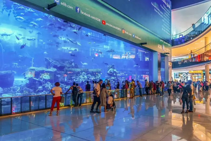 Dubai Aquarium And Under Water Zoo